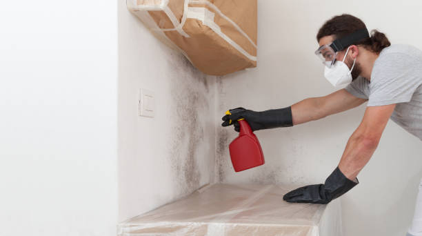Professional Mold Remediation technician working in Partlow, VA