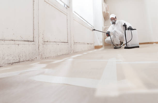 24/7 Emergency Mold Remediation experts in Partlow, VA